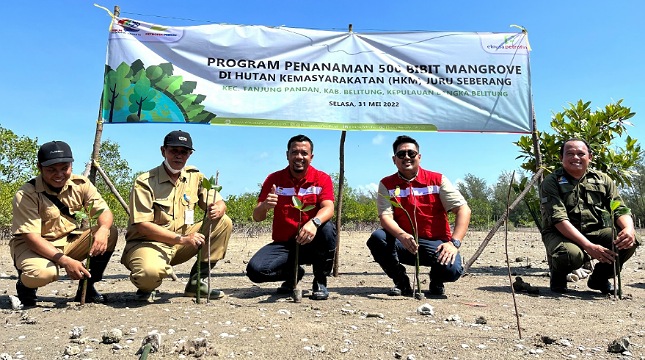 Elnusa Petrofin Lakukan Penanaman 500 Mangrove di Tanjung Pandan