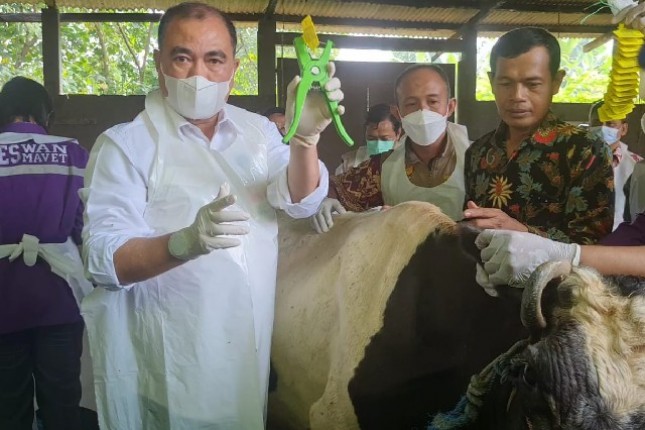 Dirjen PKH Kementan Nasrullah menyempatkan ke area vaksinasi hewan