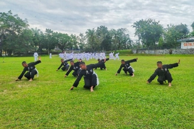 Prajurit Petarung Yonif 8 Marinir Harimau Putih Laksanakan Latihan Beladiri Bersama