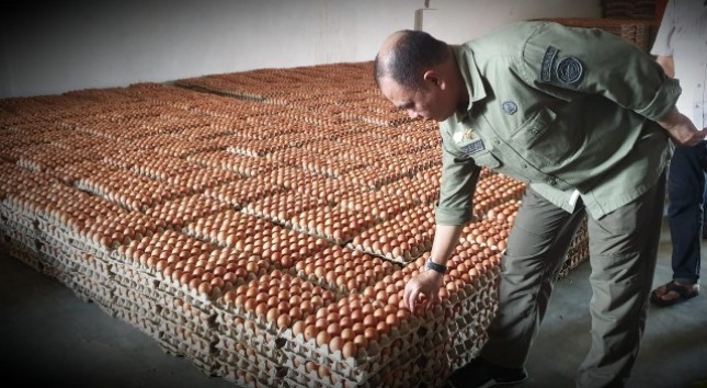 Dirjen Peternakan dan Kesehatan Hewan Nasrullah memeriksa telur yang akan dipasarkan ke masyarakat 