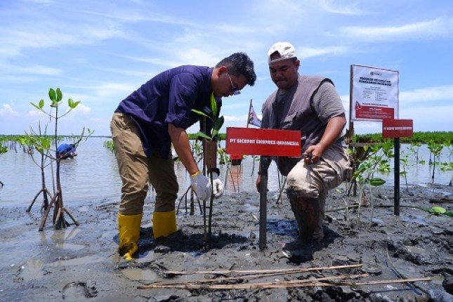 Rangga Andriana, Manager Corporate Communication (kanan) bersama Bangkit, Ketua Kelompok Wisata Mangrove Pulau Cemara (kiri) saat penanaman 1.000 bibit pohon mangrove pada Rabu (07/03). 
