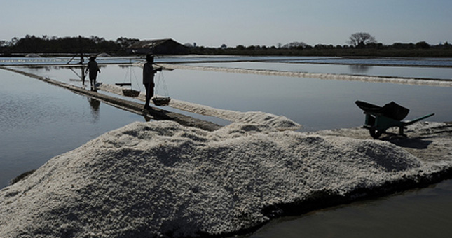 Ilustrasi tambak garam. (Robertus Pudyanto/Getty Images)