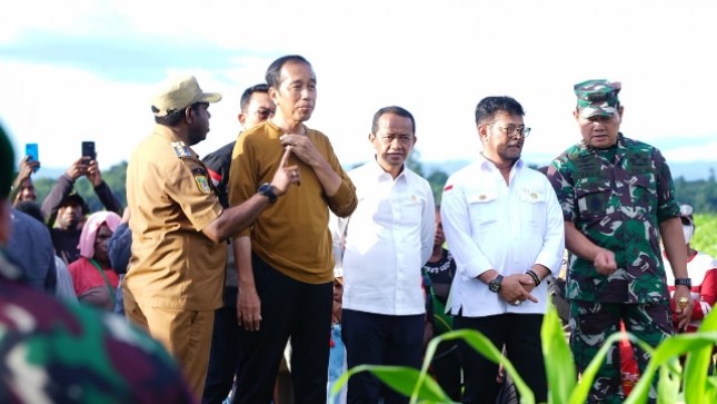 Presiden, Mentan bersama menteri lainnya saat tinjau perkebunan Jagung
