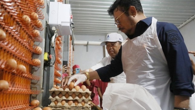 Mentan tinjau produsen telur ayam