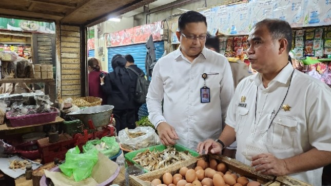 Dirjen PKH Nasrullah tinjau ketersediaan pangan hewani di Pasar