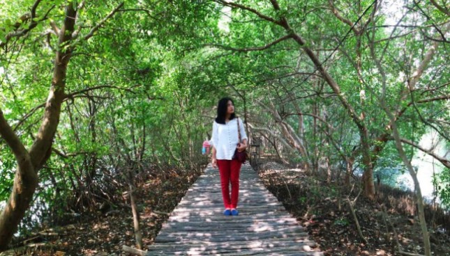 Hutan Mangrove Pantai Indah Kapuk