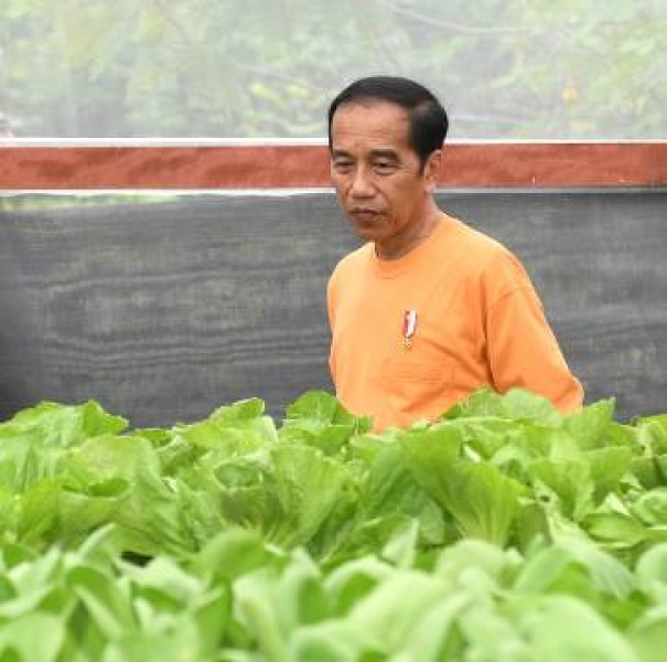 Presiden Jokowi Apresiasi Kegiatan di Waibu Agro Eduwisata Papua