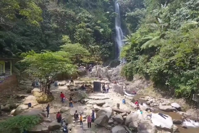 Keindahan Wisata Pengunungan dan Kopi Robusta Sanggabuana Desa BRILiaN - Industry.co.id