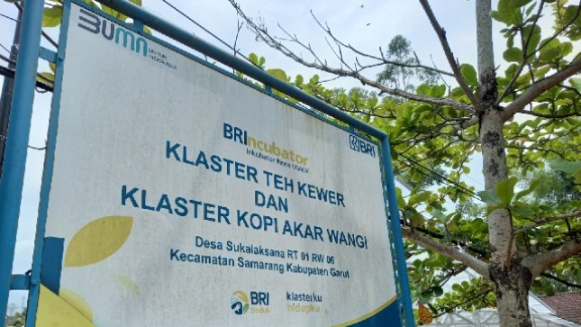 BRI incubator Teh Kewer dan Kopi Akar Wangi
