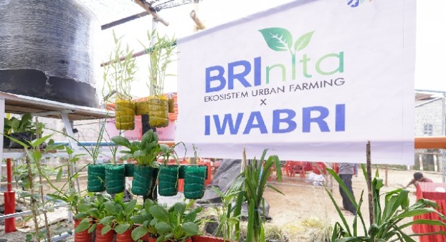 Brinita memperdayakan urban farming