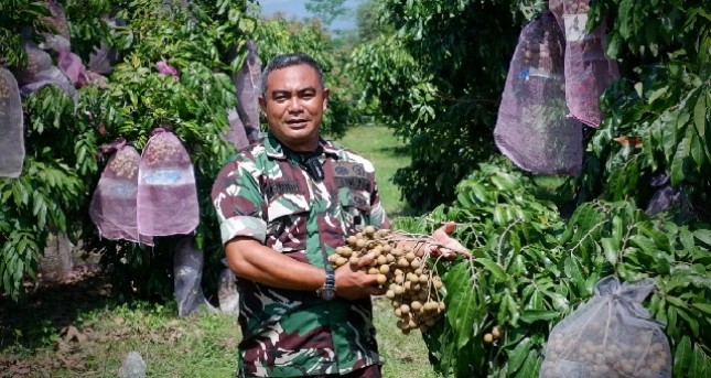 Serda Mugiyanto Babinsa pendampingan petani