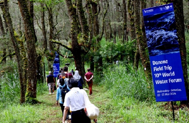 Danone Indonesia bekerja sama dengan berbagai pemangku kepentingan lokal seperti pemerintah daerah, lembaga swadaya masyarakat setempat, perguruan tinggi, kelompok petani, relawan serta tokoh masyarakat untuk melestarikan DAS Ayung dalam wadah Forum DAS.