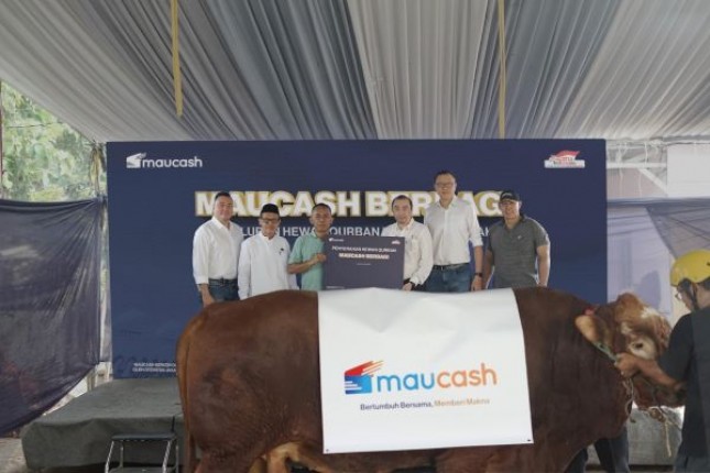 Maucash Gelar Kegiatan CSR Merayakan Idul Adha dengan Pembagian Hewan Kurban