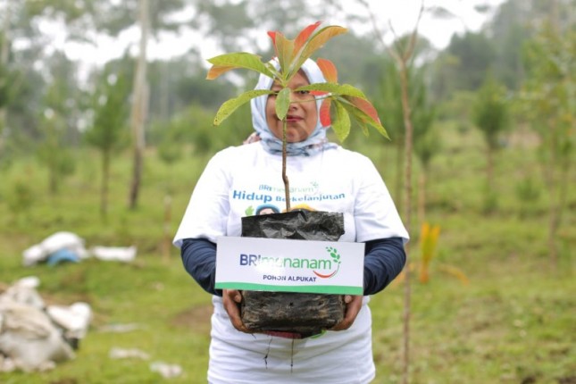 BRI menanam pohon untuk berkelanjutan hidup manusia