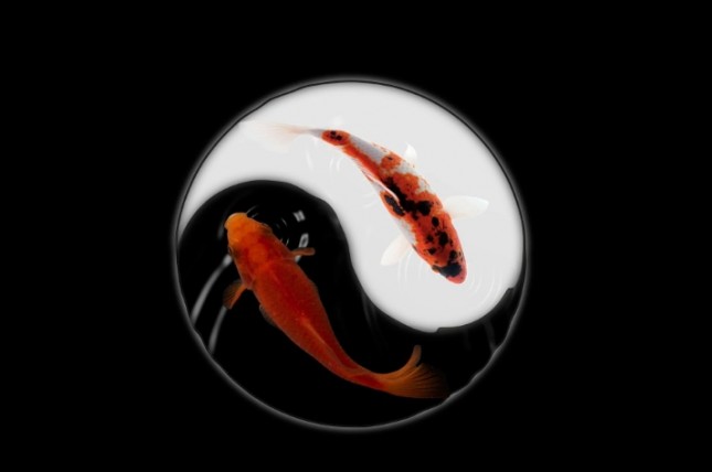 Feng shui (foto ilustrasi)