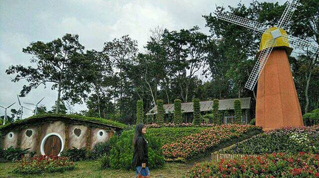 Taman Bunga Celosia, di Semarang (Foto: http://www.cumacuma.org)