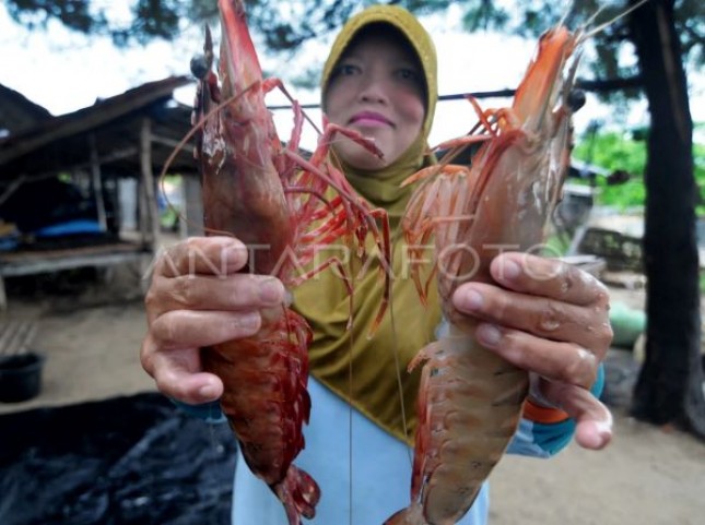 ANTARA PHOTO/Saiful Bahri/foc