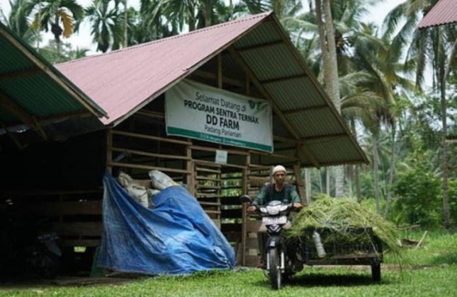 Ali Akbar (56) sentra peternakan DD Farm Rumah Gadang, Sumatera Barat.