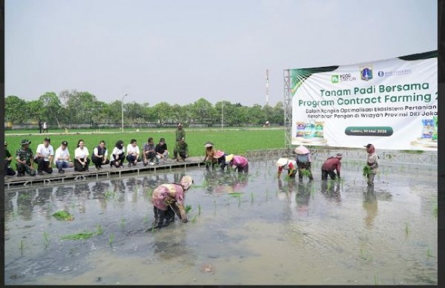 Laksanakan Arahan Gubernur, Food Station Gelar Kegiatan Kerjasama Contract Farming dan Tanam Bersama dengan Gapoktan di Rorotan