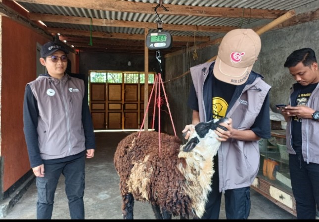 Program Tebar Hewan Kurban Dompet Dhuafa