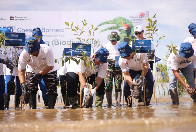 Penanaman 5.000 bibit mangrove pada kegiatan “GoZero% Goes to Borneo” di Pantai Batu Perawan, Tarakan, Kalimantan Utara, beberapa waktu lalu.