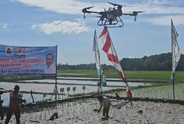 Tanam serentak di Kabupaten Lebak