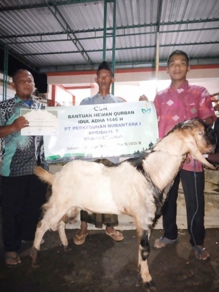 PTPN 1 serahkan hewan kurban