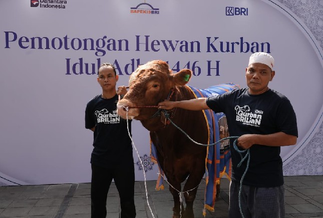 BRI Salurkan hewan Kurban