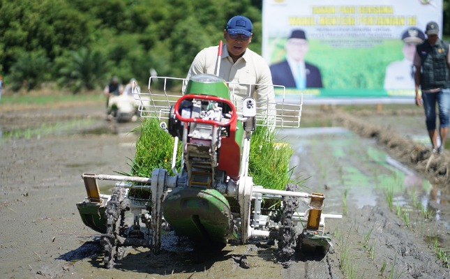 Wamentan Sudaryono saat menanam padi dengan menggunakan alat rice transplanter di Koyong Utara, Kalbar