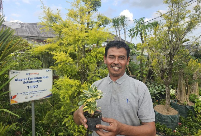 Petani tanaman Hias