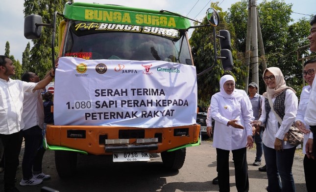 Gubernur Jawa Timur, Khofifah Indar Parawansa, menyambut baik inisiatif JAPFA dan PT Greenfields Dairy Indonesia mendistribusikan lebih dari 1.000 sapi perah bunting kepada 120 peternak rakyat di Jawa Timur.