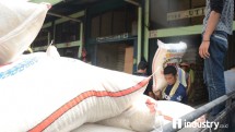Beras (Foto/Rizki Meirino)