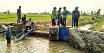 Irigasi Pertanian (Foto Dok Industry.co.id)