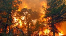 kebakaran hutan dan lahan (karhutla).
