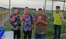 Peneliti berprestasi ke Taiwan