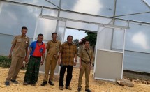 Alat UV Dryer dari Kementan