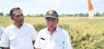 Kapala Bidang Tanaman dan Pangan Dinas Pertanian Kabupaten Indramayu, Akhmad Yani
