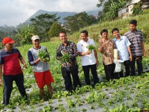 Dirjen Hortikultura Suwandi. Sesama petani sayuran organik