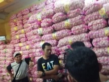 Pemasok bawang putih sedang berada di gudangang
