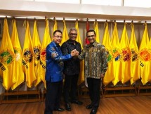 Direktur Sinar Mas Grroup Saleh Husin (Foto Dok Industry.co.id)