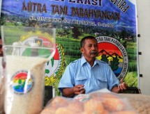 Koperasi Mitra Tani Parahyangan, Cianjur akan mengembangan produksi jagung melalui sistem perubahan pola tanam dan pola panen.