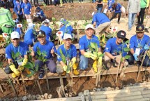 Penanaman bibit mangrove di Pantai Kapuk Jakarta