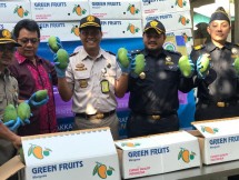 Ekspor Mangga di Denpasar, Bali