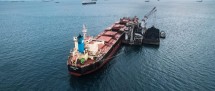 PT Pelita Samudera Shipping Tbk ,