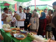 Ali Jamil, Kepala Badan Karantina Kementan tinjau Duren yang akan diekspor