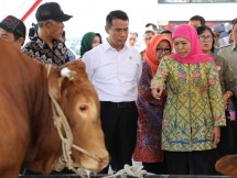 Mentan Amran Sulaiman dan Gubernur Jawa Timur