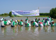 PT Bekasi Fajar Industrial Estate Tbk.(“BEST”) telah melakukan kegiatan penanaman mangrove melalui wadah MM2100 Peduli, sinergi dengan PT Megalopolis Manunggal Industrial Development (MMID) dan keikutsertaan para tenant dari Kawasan Industri MM2100.