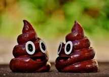 Kepala sekolah Seminari Bunda Segala Bangsa (BSB) Maumere, Kabupaten Sikka, Nusa Tenggara Timur membantah kabar kasus pendamping asrama yang mencekoki siswanya memakan kotoran manusia.