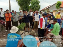 Edukasi pengendalian wereng batang coklat