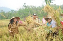 Bupati Landak Karolin Margret Natasa kiri bersama petani panen padi